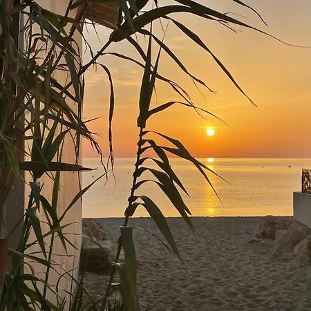 2p 4 Pers, A 500m Plage, Parking, Wifi, Petits Animaux Ok - Fr-1-776-107 * أرجيليه- سور- مير