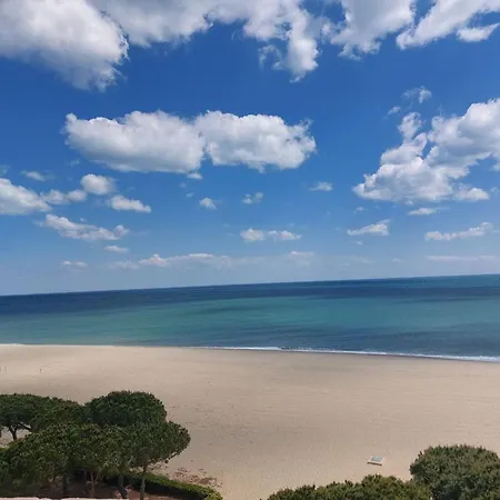 2p 4 Pers, A 500m Plage, Parking, Wifi, Petits Animaux Ok - Fr-1-776-107