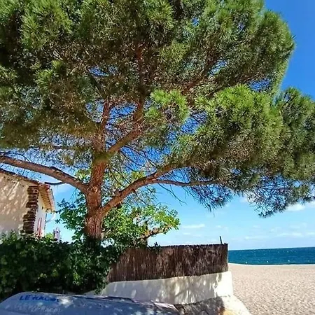 2p 4 Pers, A 500m Plage, Parking, Wifi, Petits Animaux Ok - Fr-1-776-107 Argelès-sur-Mer